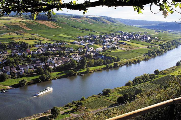 Weingut & Gaestehaus Andreas Erz Brauneberg Buitenkant foto