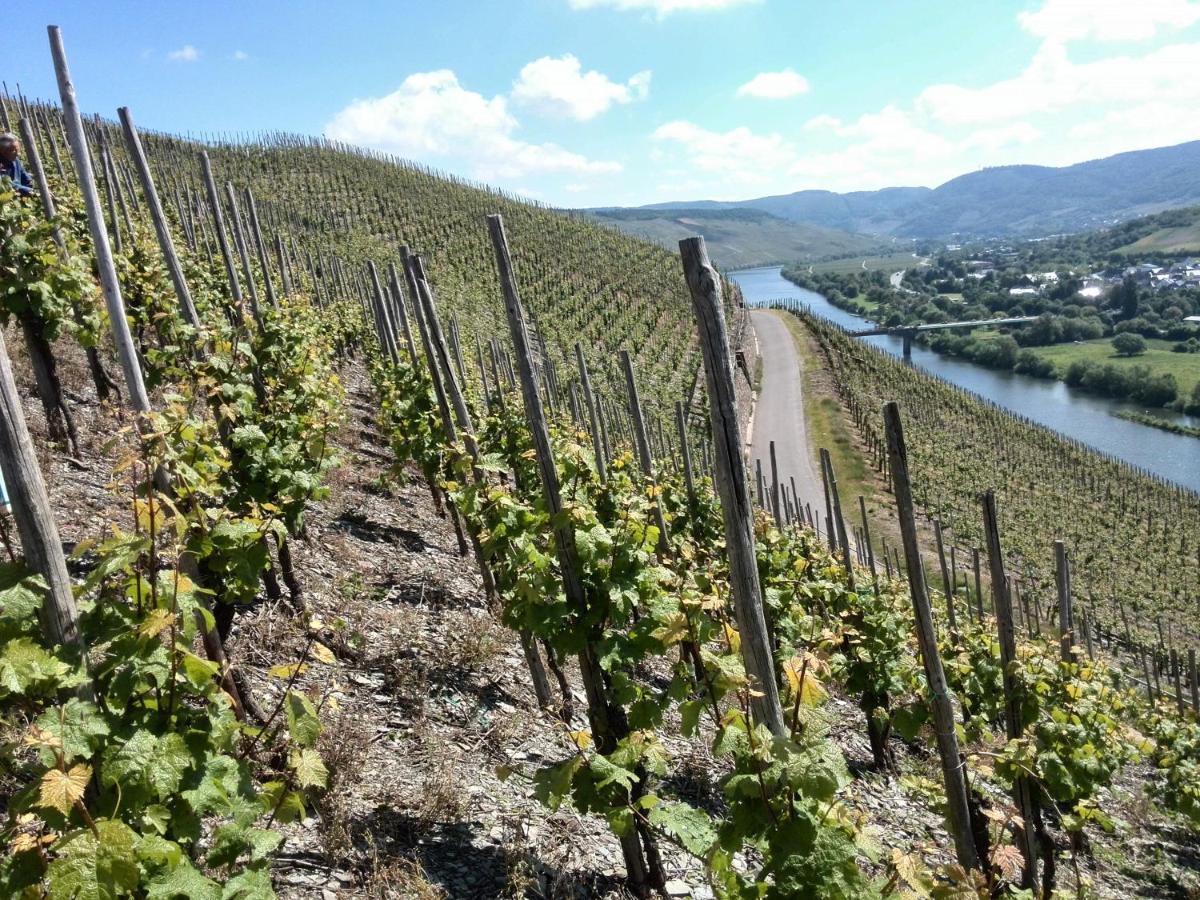 Weingut & Gaestehaus Andreas Erz Brauneberg Buitenkant foto