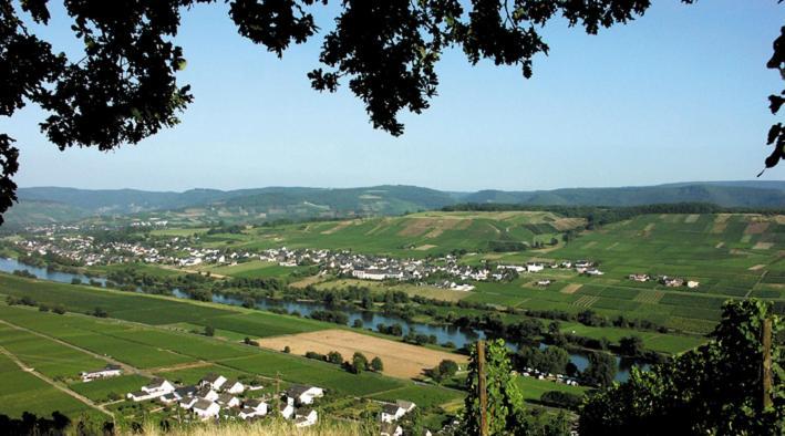 Weingut & Gaestehaus Andreas Erz Brauneberg Buitenkant foto