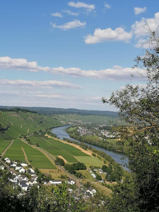 Weingut & Gaestehaus Andreas Erz Brauneberg Buitenkant foto