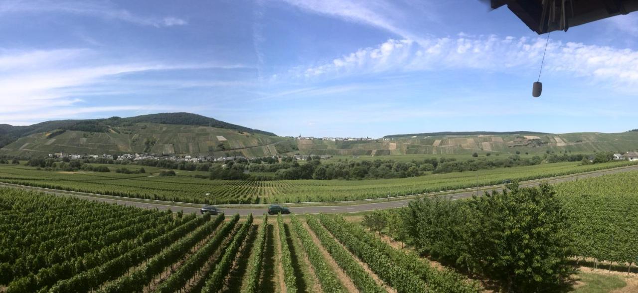 Weingut & Gaestehaus Andreas Erz Brauneberg Buitenkant foto