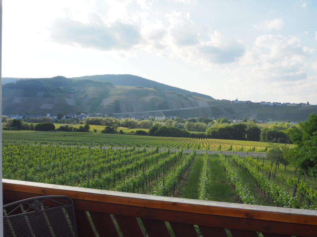 Weingut & Gaestehaus Andreas Erz Brauneberg Kamer foto