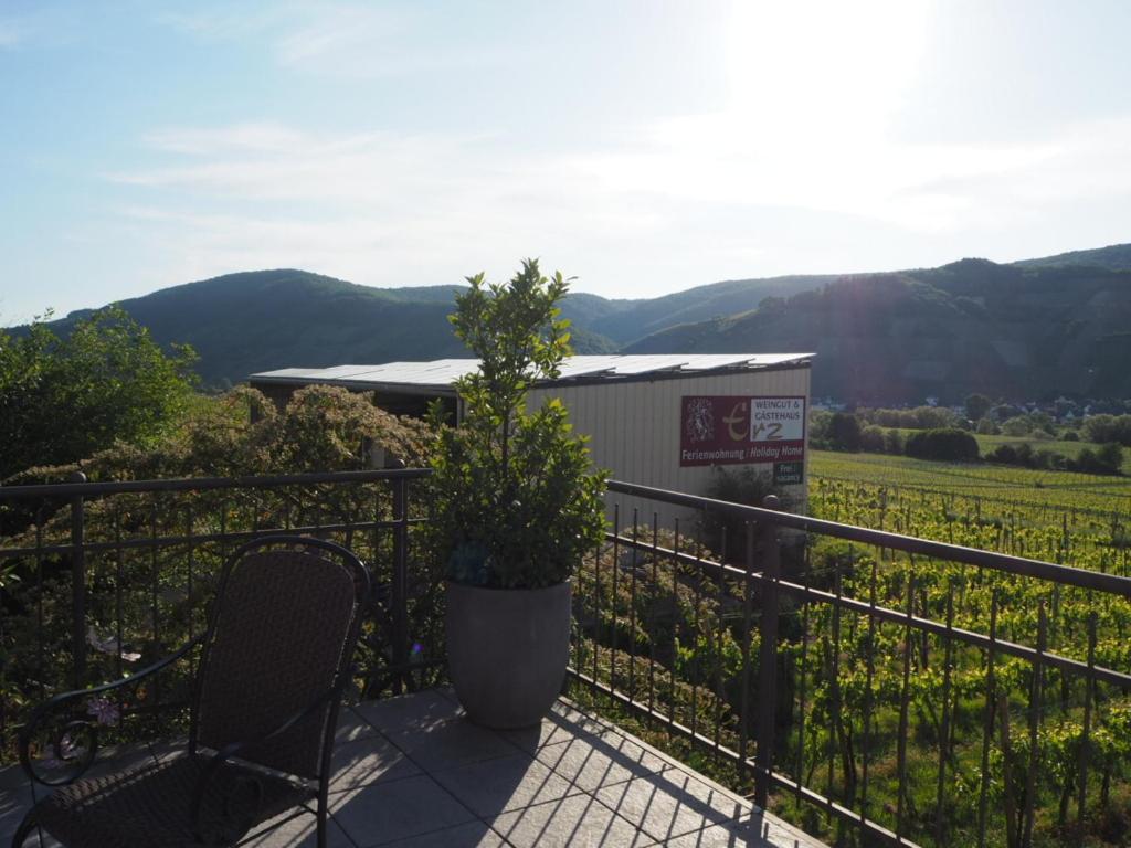 Weingut & Gaestehaus Andreas Erz Brauneberg Buitenkant foto