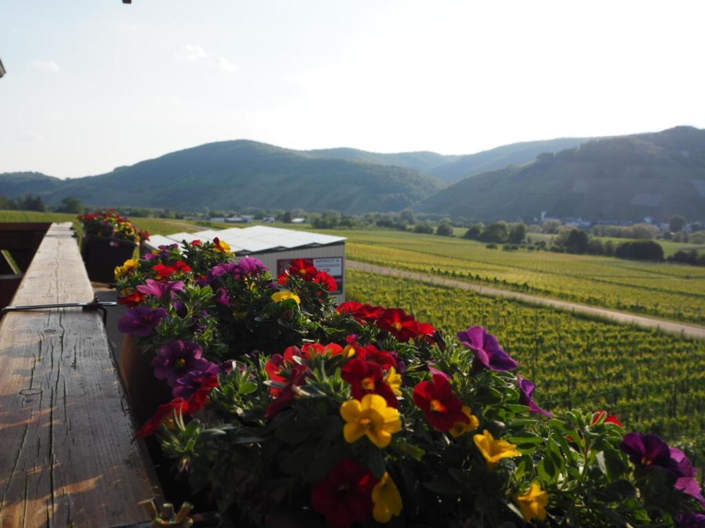 Weingut & Gaestehaus Andreas Erz Brauneberg Buitenkant foto