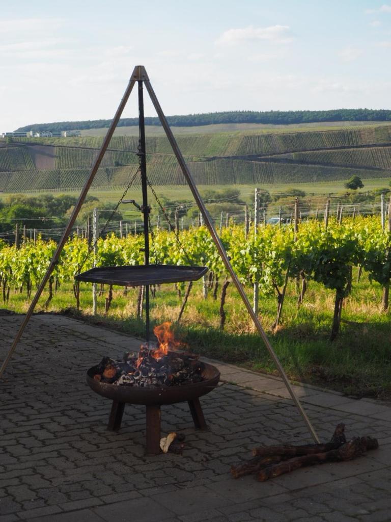 Weingut & Gaestehaus Andreas Erz Brauneberg Buitenkant foto