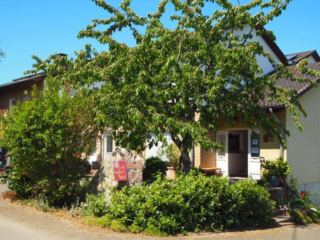 Weingut & Gaestehaus Andreas Erz Brauneberg Buitenkant foto