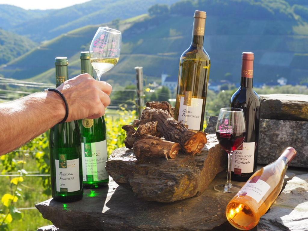 Weingut & Gaestehaus Andreas Erz Brauneberg Buitenkant foto